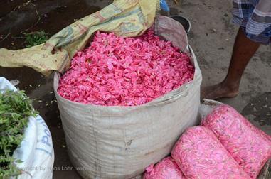 Flower-Market, Madurai,_DSC_8190_H600